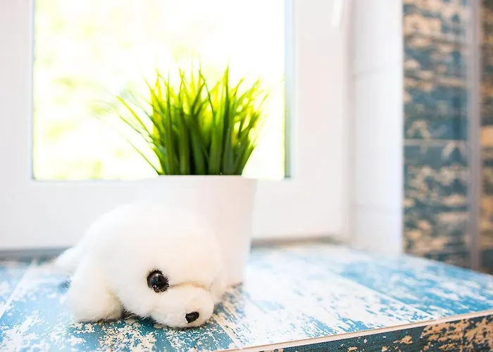 Caloroczne Klif - Nowoczesne Dwupoziomowe Nad Morzem * ウストカ